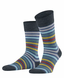 FALKE Tinted Stripe Herren / Blau