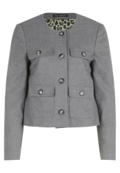 Blazer-Jacke / Grau