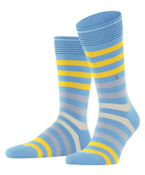 Herren Socken Blackpool / Blau