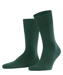 Herren Socken ClimaWool / Grün