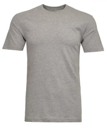 Herren T-Shirt / Grau