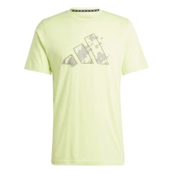 Herren Sport T-Shirt / Grün