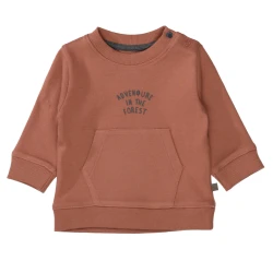 Baby Shirt / Braun