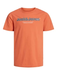 Herren T-Shirt JORLAKEWOOD / Orange