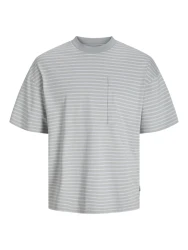 Herren T-Shirt JCOTANICAL / Grau