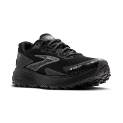 Herren Sportschuh Divide 5 GTX / Schwarz