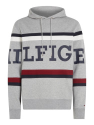 Herren Sweatshirt mit Kapuze / Grau