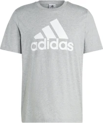 Herren Shirt Essentials Single Jersey Big Logo / Grau