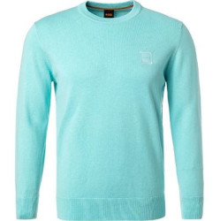 Herren Sweatshirt Kanovano / Türkis