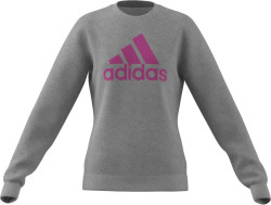 Kinder Sweatshirt Essentials Big Logo / Grau