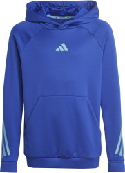 Kinder Kapuzensweatshirt / Blau