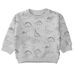 Kinder Sweatshirt / Grau