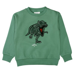 Kinder Sweatshirt / Grün