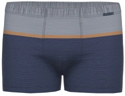 Herren Pants Nephin Retro Short / Blau